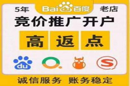 成功案例：专业SEM托管服务助力企业抢占行业制高点